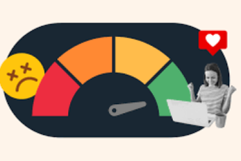 In-Depth Exploration of CSAT Scores